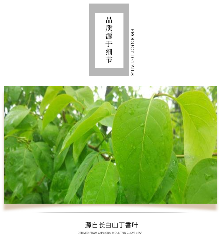 袋泡茶貼牌oem代加工