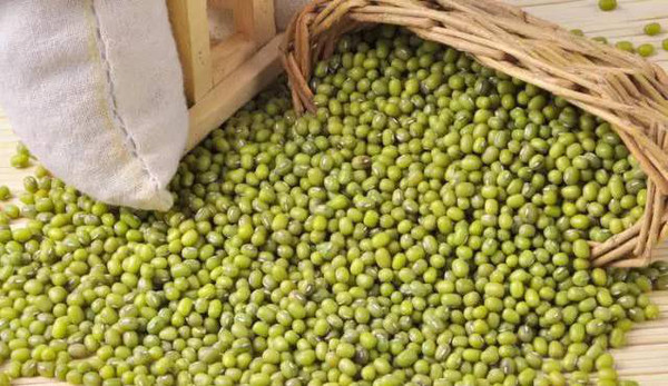 藥食同源綠豆 藥食同源綠豆