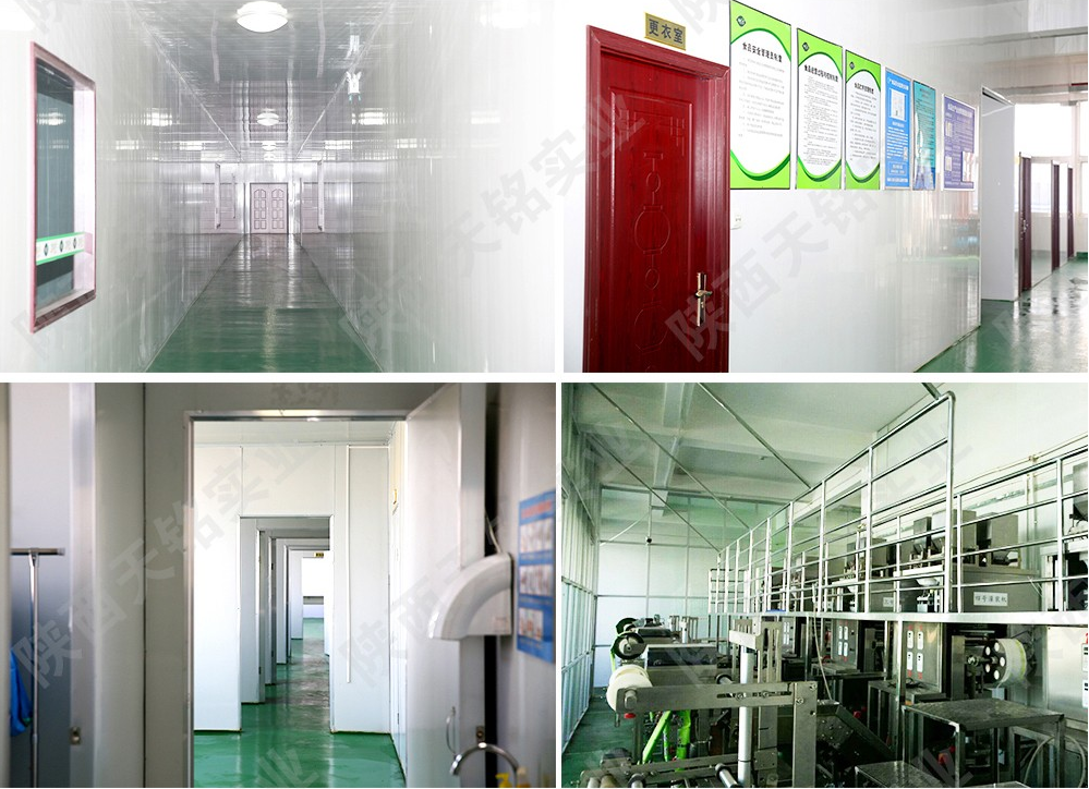 嬌名袋泡茶加工廠家 嬌名袋泡茶加工廠家