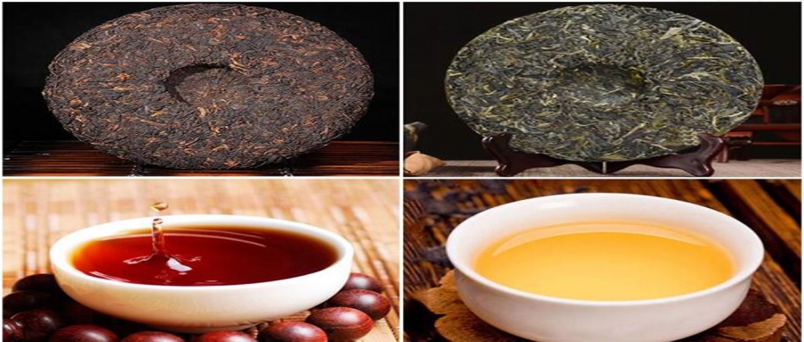 嬌名帶你辨別生普和熟普的區別