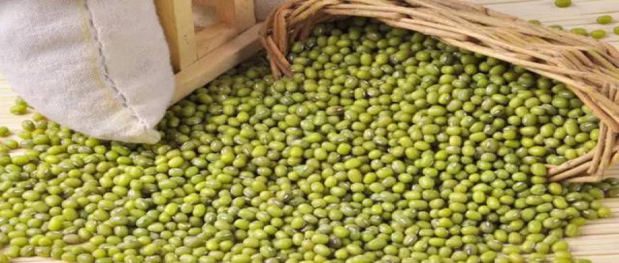 嬌名袋泡茶代加工藥食同源（5）——綠豆