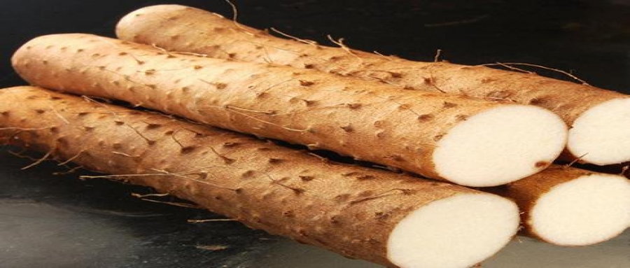 嬌名袋泡茶代加工藥食同源（6）——山藥