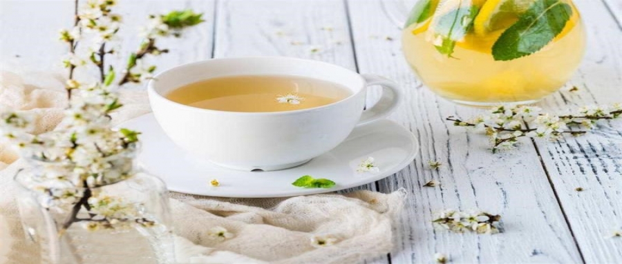 如何判斷玉米纖維和尼龍茶包？袋泡茶加工廠